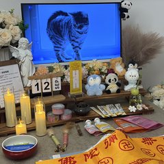 宠物家长客户见证